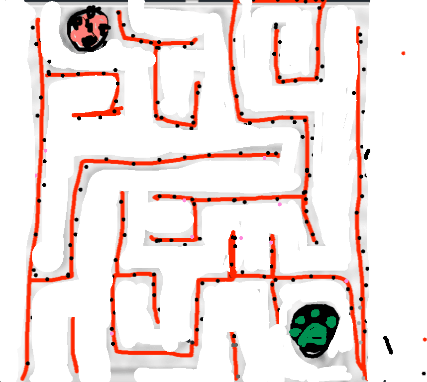 miraculous maze 2021