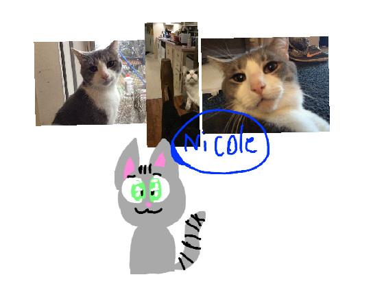 art contest to draw kiki my cat from my photo - copy