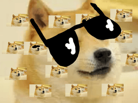 We will rock doge