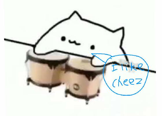 Bongo Cheese cat