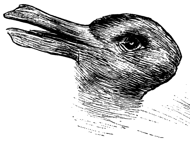 What do you see first a duck or a bunny?