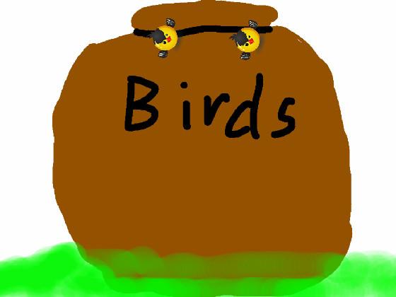 Big Bird Bag