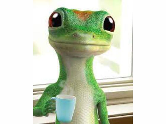 stare at geico