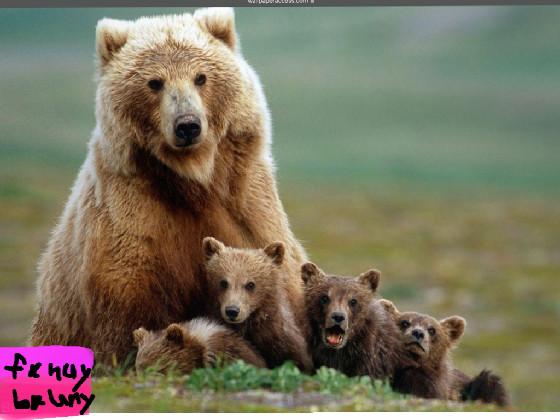 mom bear