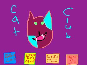 Cat Club 1
