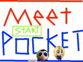 Meet Pocket!                                                         Minecraft Roblox alpha pacman geometry dash dress up doll clicker fun granny old cute 1 1