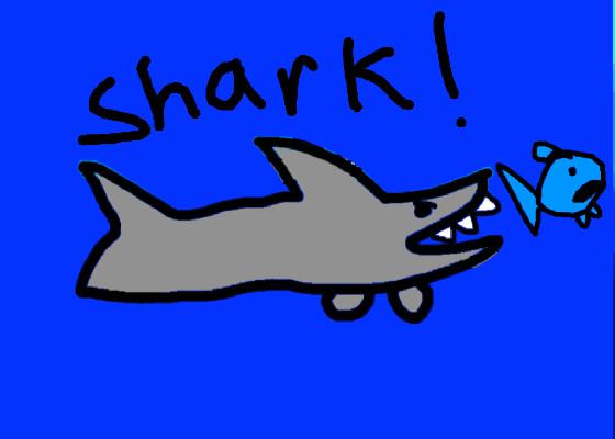 Shark!  1