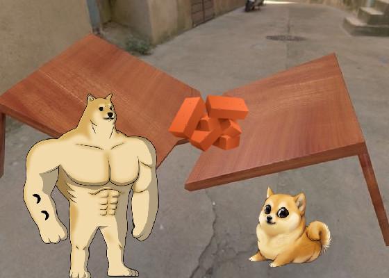 doge our table its broken