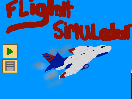 Flight sim