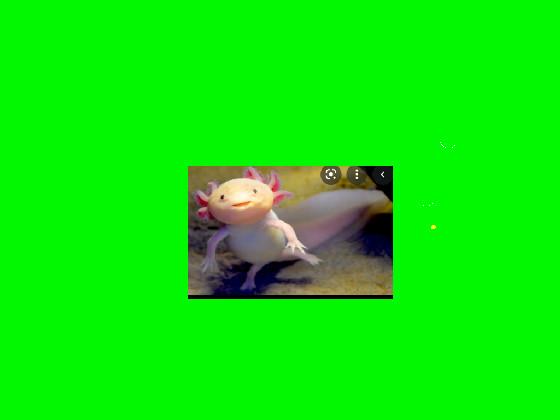axolotl clicker 2