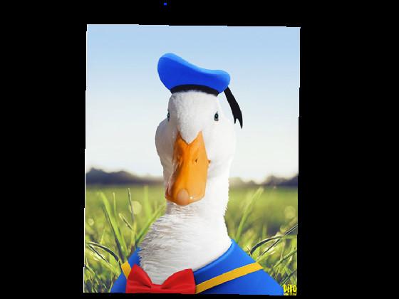  Donald ducks maze