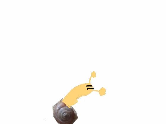 ABOUT SNAIL