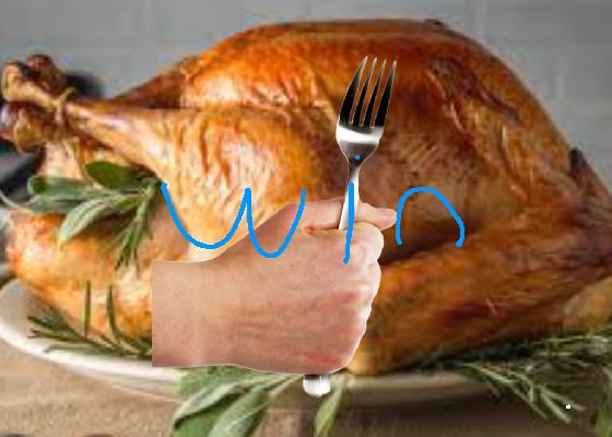 cook turkey