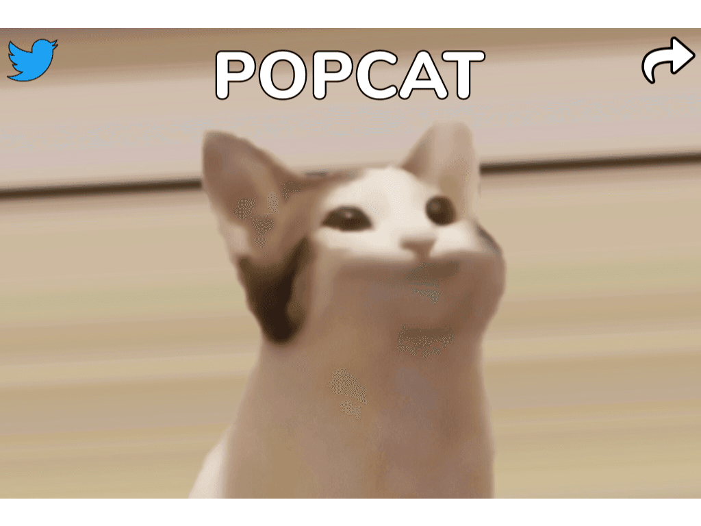 POPCAT 1