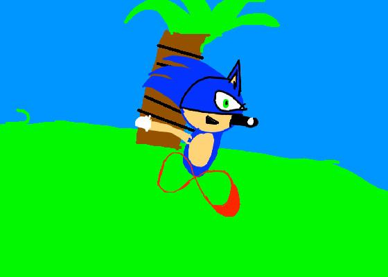Sonic animation! 1