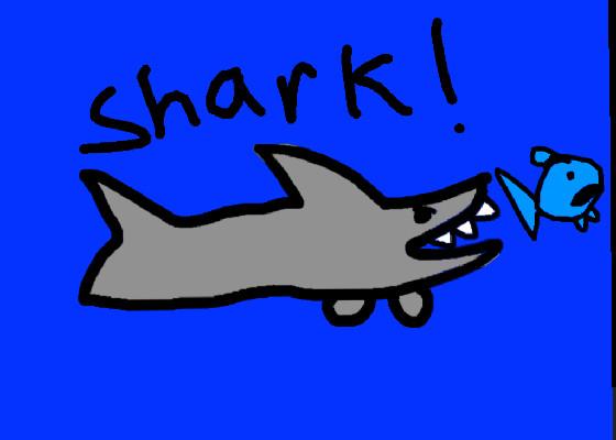 Shark game 1