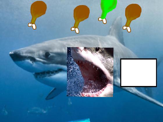 Great White Shark Feeder  1 1