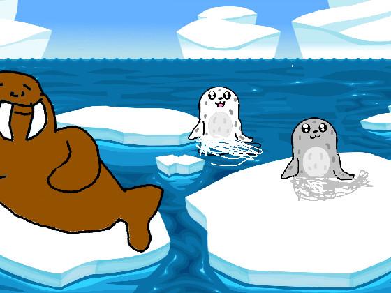 Seals and Walrus 2