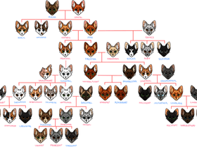 storm whiskers family tree