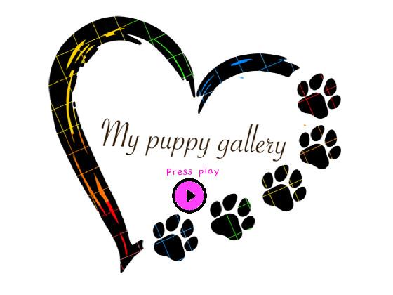 My puppy gallery 🐶🐕
