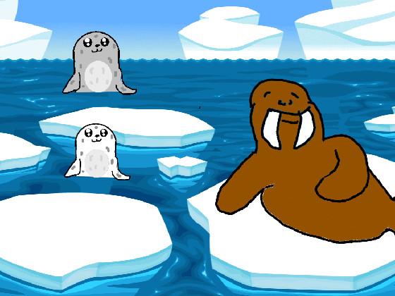 Seals and Walrus 1