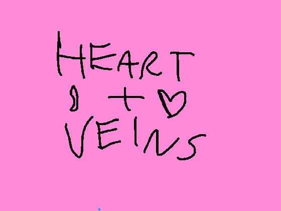 The heart and veins 