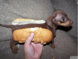 hot dog?