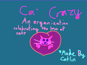 Cat Crazy