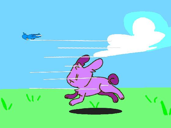 Bunny Run+Animation 1 1