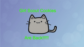 Girl Scout Cat
