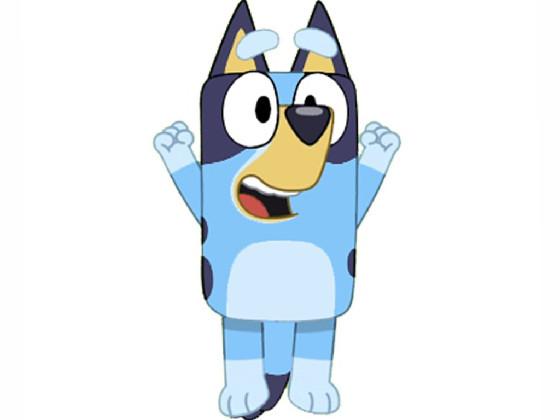 About Bluey