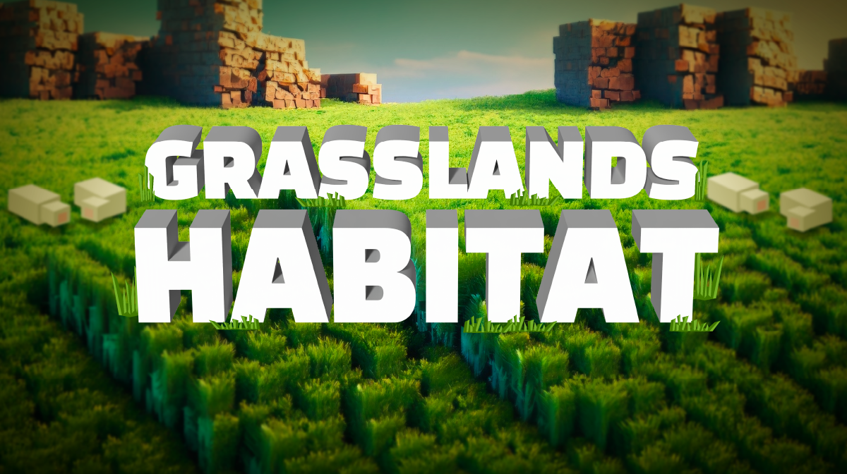 request - Skins - Mapping and Modding: Java Edition - Minecraft Forum - Minecraft Forum