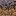 mycelium Block 4