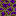 Dried Ender Dragon Spawn Egg Block 15