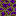 Dried Ender Dragon Spawn Egg Block 1