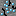 EyE ore Block 2