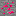 Copy of Copy of it pink ore Block 6