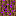 purple soil Block 0
