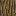 Log Oak (With sap) Block 0