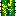 yellow time Block 11