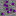 purple ore Block 0