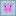 Pig in glass Block 0