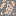 Veloci Raptor Bone Ore Block 4