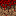 Nether Grass Block 0