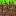 oak wood Block 1