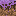 Ender-Infected Dirt Block 1