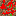 toxic grass Block 1
