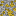 Pure Gold Ore Block 0