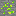 flock Block 10