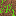 poop block Block 0